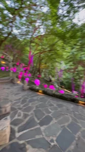 人妻在知名景点的后山上心不在焉的口